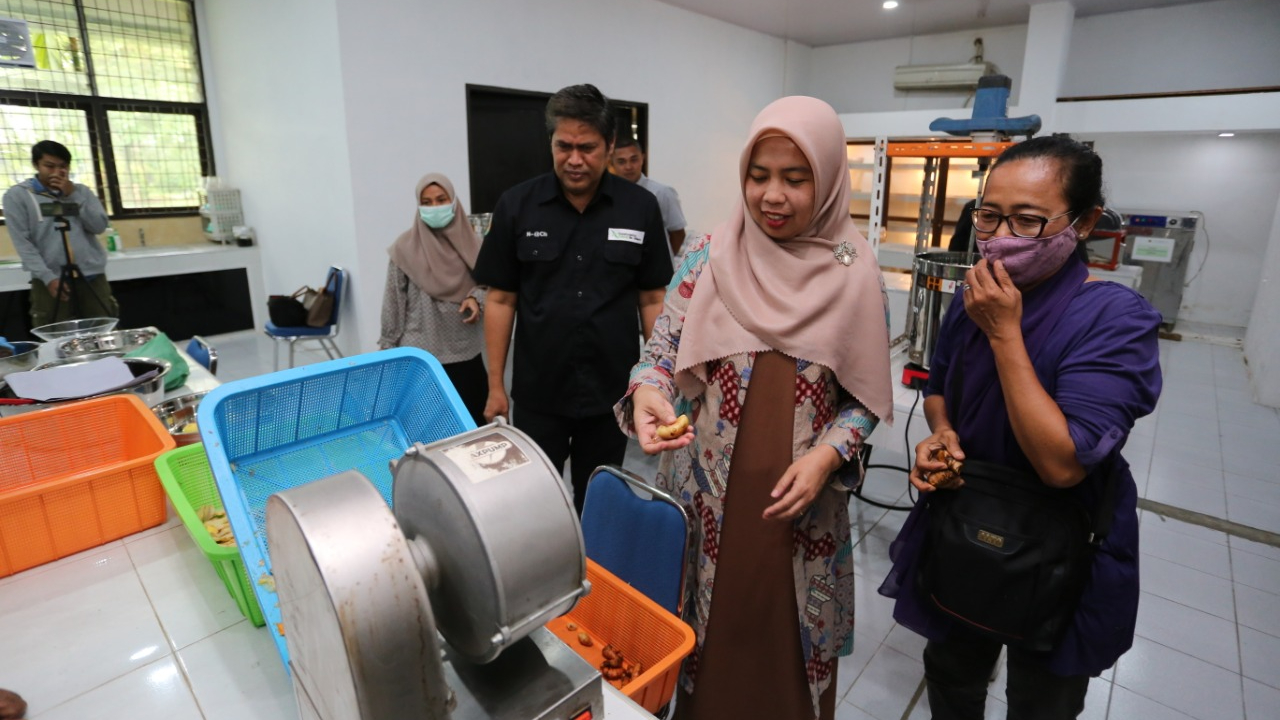 Inovasi USU Ciptakan Produk Jamu Herbal Berbahan Dasar Rempah-MediaPijar.com