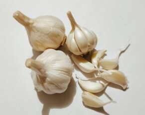 Bawang Putih Mentah, Santapan dengan Sejuta Manfaat bagi Tubuh - www.mediapijar.com