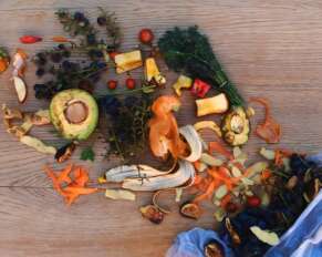 Hari Susut dan Sisa Pangan Internasional 2025, Meningkatkan Kesadaran Mengurangi Pemborosan Pangan - www.mediapijar.com