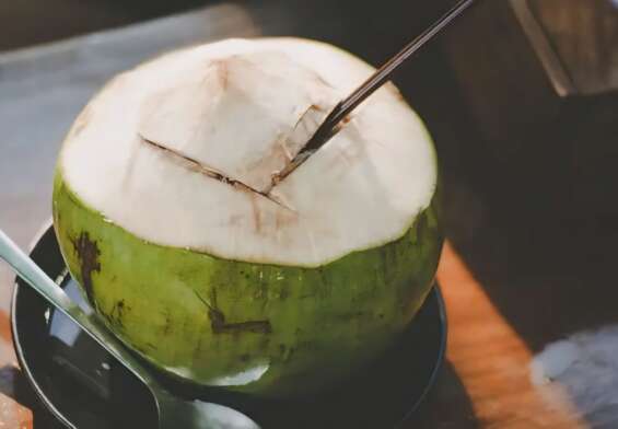 Nikmati Sejuta Manfaat dengan Bijak Minum Air Kelapa Muda - www.mediapijar.com