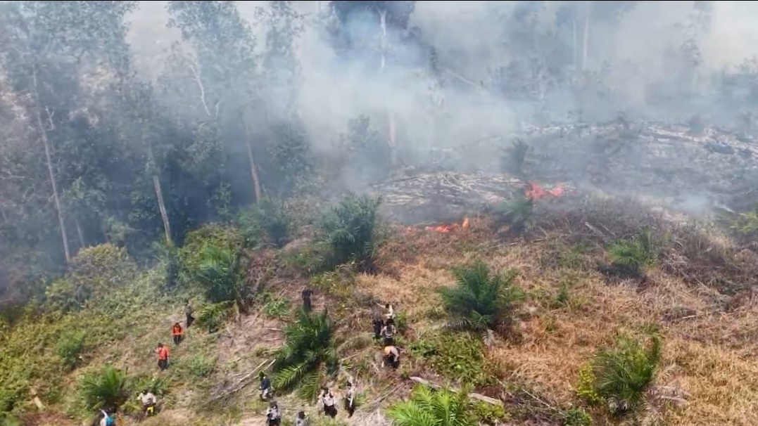 Kebakaran Hutan dan Lahan Sebagai Tindak Pidana Terhadap Lingkungan dalam: Studi Kasus Provinsi Riau Tahun 2025 - www.mediapijar.com