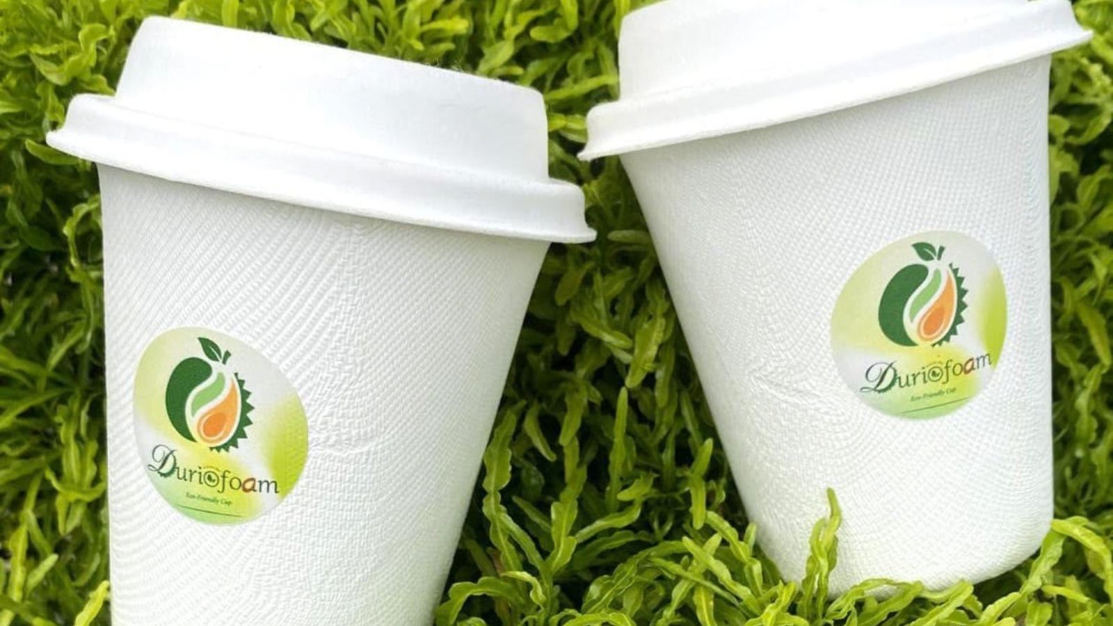 durifoam