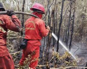 Potret Kebakaran Hutan dan Lahan