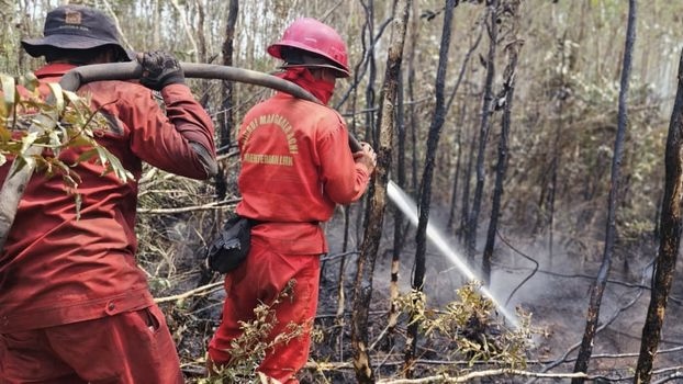 Potret Kebakaran Hutan dan Lahan