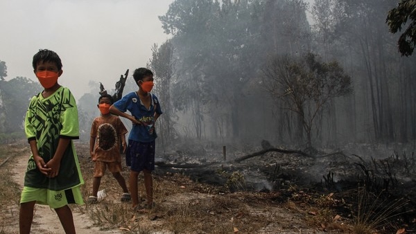 Potret Kebakaran Hutan dan Lahan
