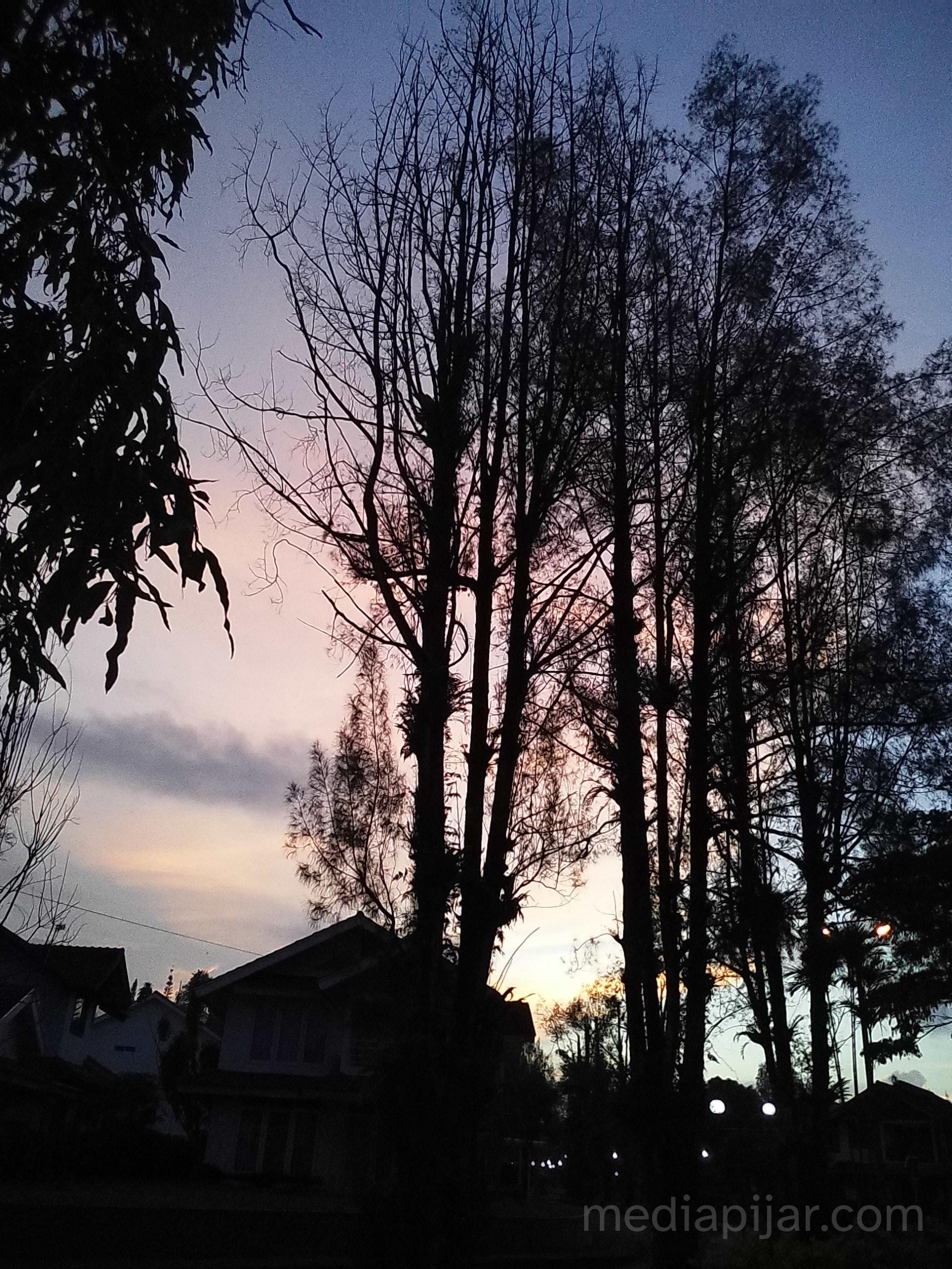 senja